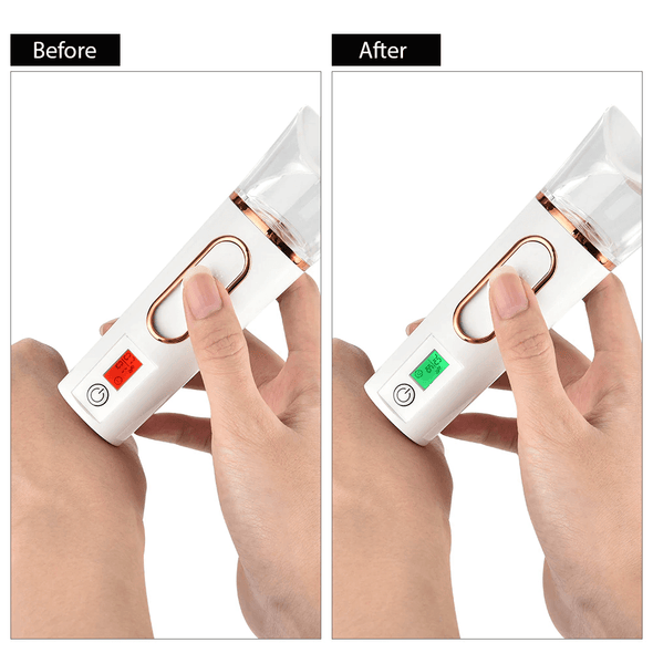Facial Mist Sprayer